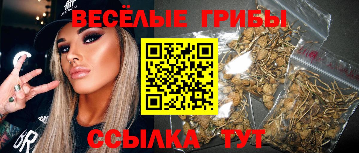 Симферополь  Галлюциногенные грибы Psilocybine cubensis  Псилоцибиновые грибы GOLDEN TEACHER  Вход с VPN 